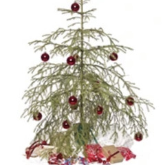 1-800 alba - christmas tree