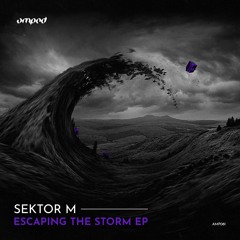 Sektor M - Will (Original Mix)