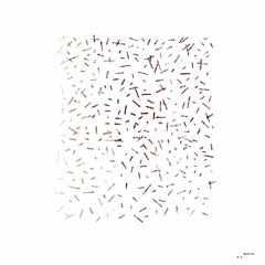 vvv2: dicotomias by vic & ryo