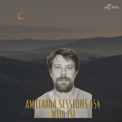 AMITABHA SESSIONS 054 with TSF