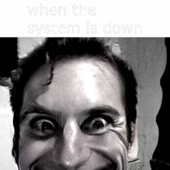 When The System Is Down