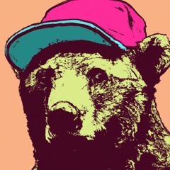 Beastie Boys - We Got The (bohëmond gothic disco edit)