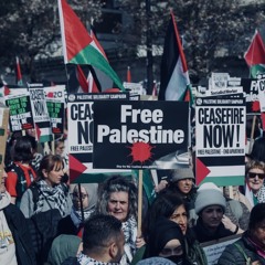 #freepalestine(prod. vrtex)