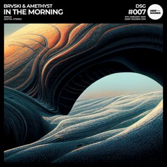 Brvski & Amethyst - In The Morning