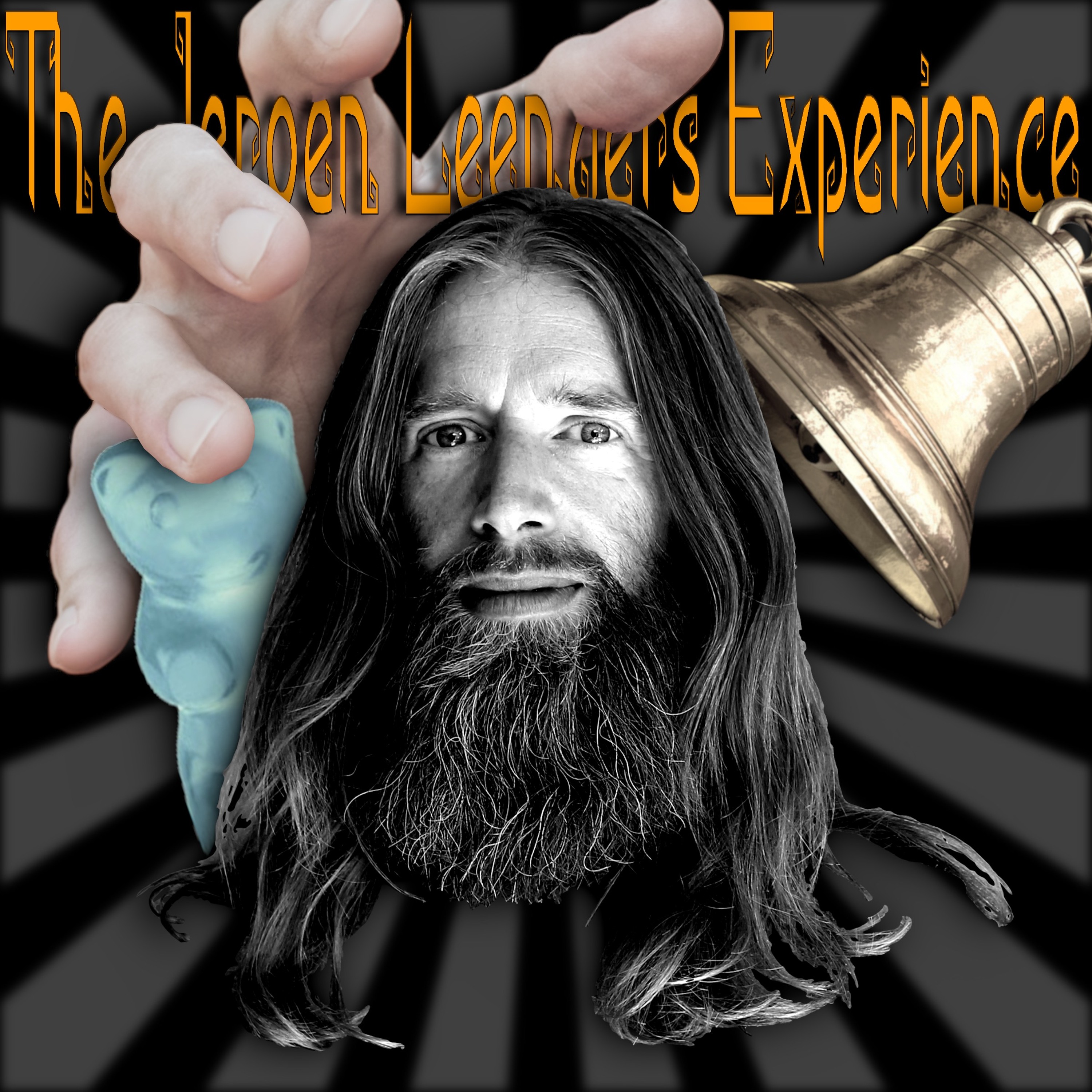 Jeroen Leenders Experience