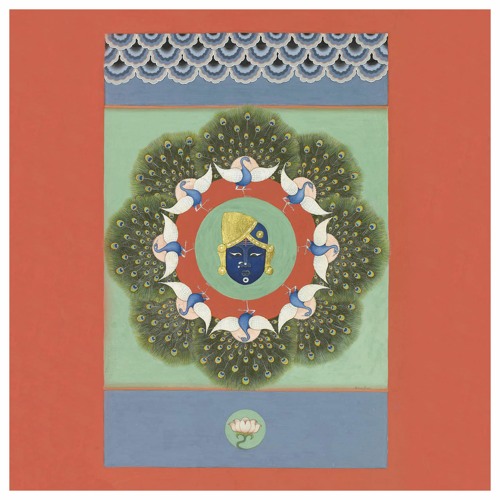 World Wild Web & Tritha - Peacock Garden