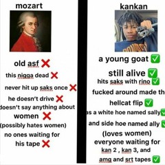 KANKAN - OBAMA CRIB * EXTENDED HOOK
