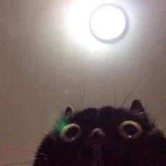 <3