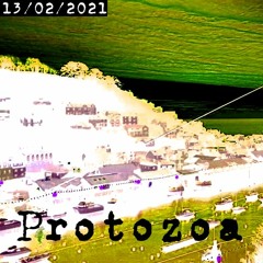PROTOZOA - (Jungle/Breakcore)