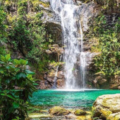 ๑۞๑,¸¸,ø¤º°`°๑۩   🫀 𝑀𝒰𝒮𝐻  🫀   ۩๑°`°º¤ø,¸¸,๑۞๑