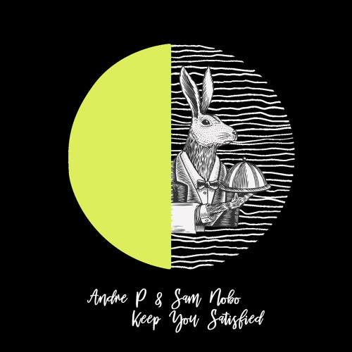 Andre P & Sam Nobo - Keep You Satisfied [trndmsk]