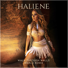 Walk Through Walls (MaRLo Extended Remix)