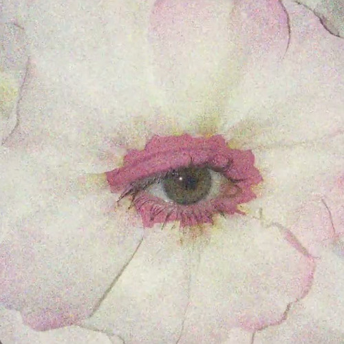 NO WAY (prod by appa)