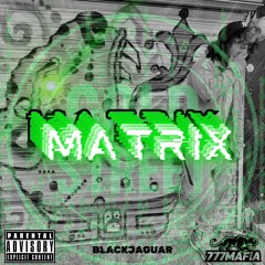 Matrix-BLACKJAGUAR