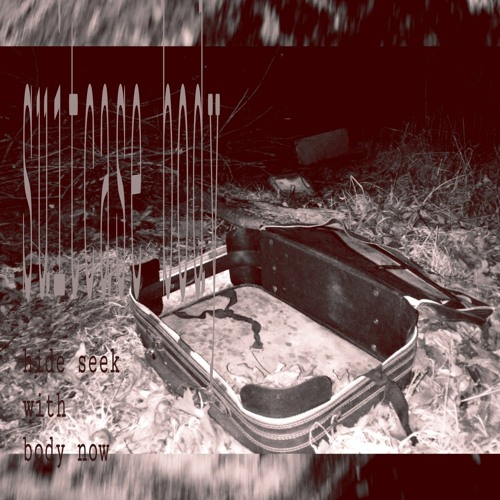 Stream Suitcase Body Listen to Hide Seek With Body Now playlist