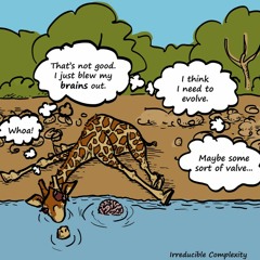 Spicy Juxtaposition - Irreducible Complexity (A vs. B)