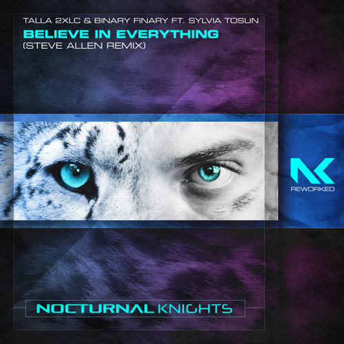Believe in Everything (Steve Allen Extended Remix) [feat. Sylvia Tosun]