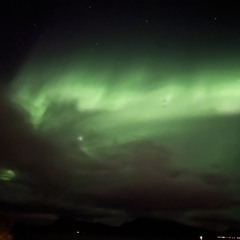 If I had a gun - Darrien Sira (Noel Gallagher’s High Glying Birds Cover)