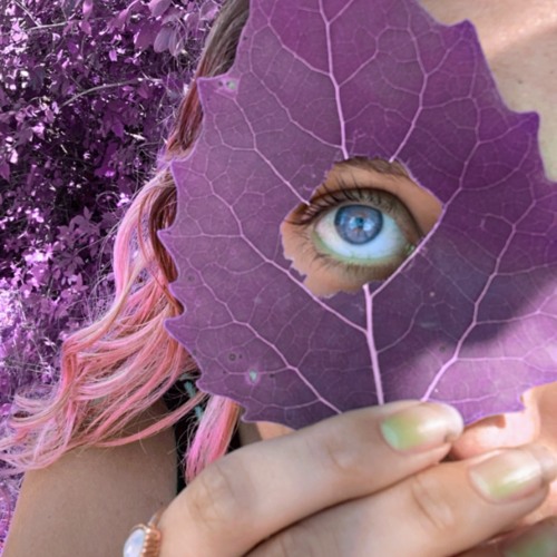 Stream Project_526 by Megan Wunderlin | Listen online for free on ...