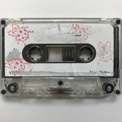 The Ladybug Transistor