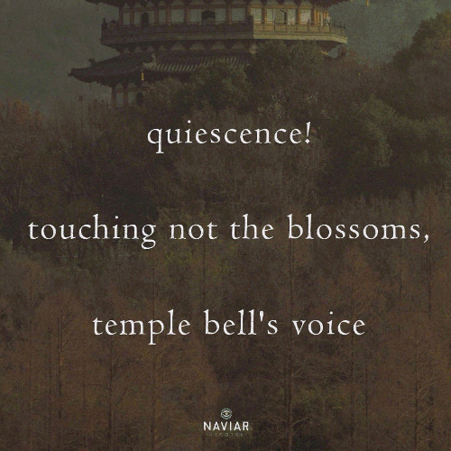 [naviarhaiku580] touching not