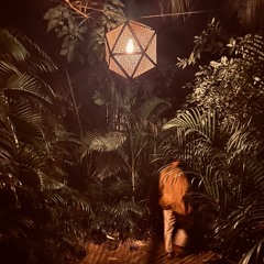 mycologist @ Radio Tulum, Tulum | 29.12.24