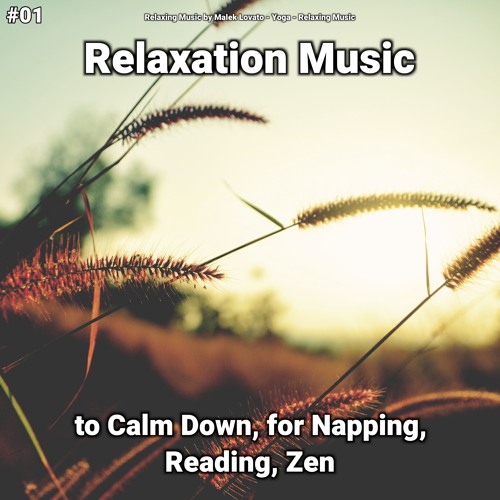 Relaxation Music, Pt. 46