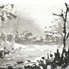 LA Wash