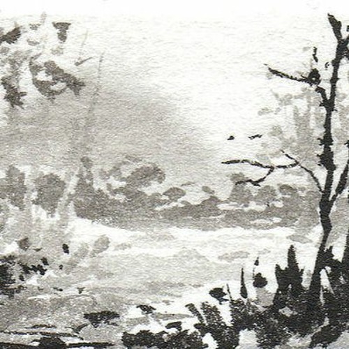 LA Wash