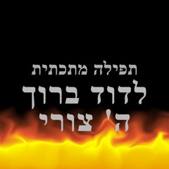 LeDavid Baruch HaShem Tzuri - לדוד ברוך ה' צורי