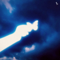 BUTTERFLY - DEMO