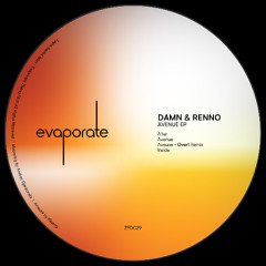 PREMIERE: DAMN, Renno - Avenue [ZFD029]