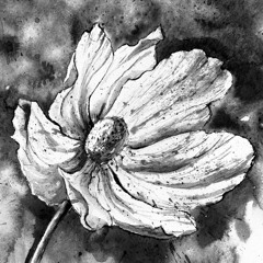 Greyish Persistence