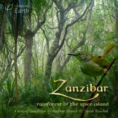 Zanzibar - Rainforest of the Spice Island: Album Sample