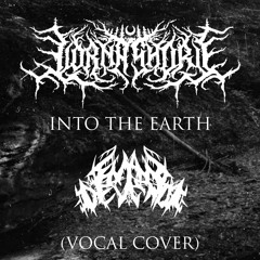 Lorna shore - Into the earth (vocal cover).wav