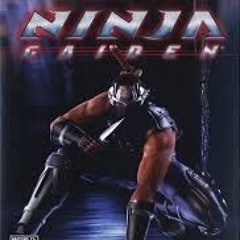 ninja gaiden Prod slattygod