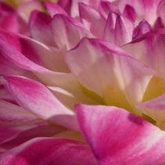 Caught Up In Sensuality