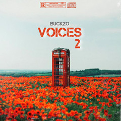 VOICES 2