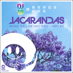 19BOX251 DJ 19 & Serge Gee / Jacarandas-Original Mix(LOW QUALITY PREVIEW)