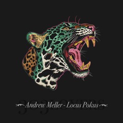 PREMIERE: Andrew Meller - Locus Pokus