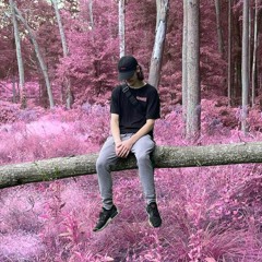 pinkpantheress - just for me (blade remix) FREE DL BOTH VERSIONS