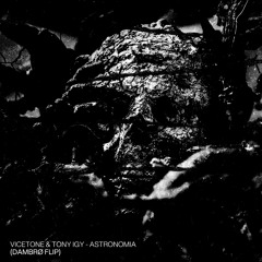 Vicetone & Tony Igy - Astronomia (DAMBRØ FLIP)