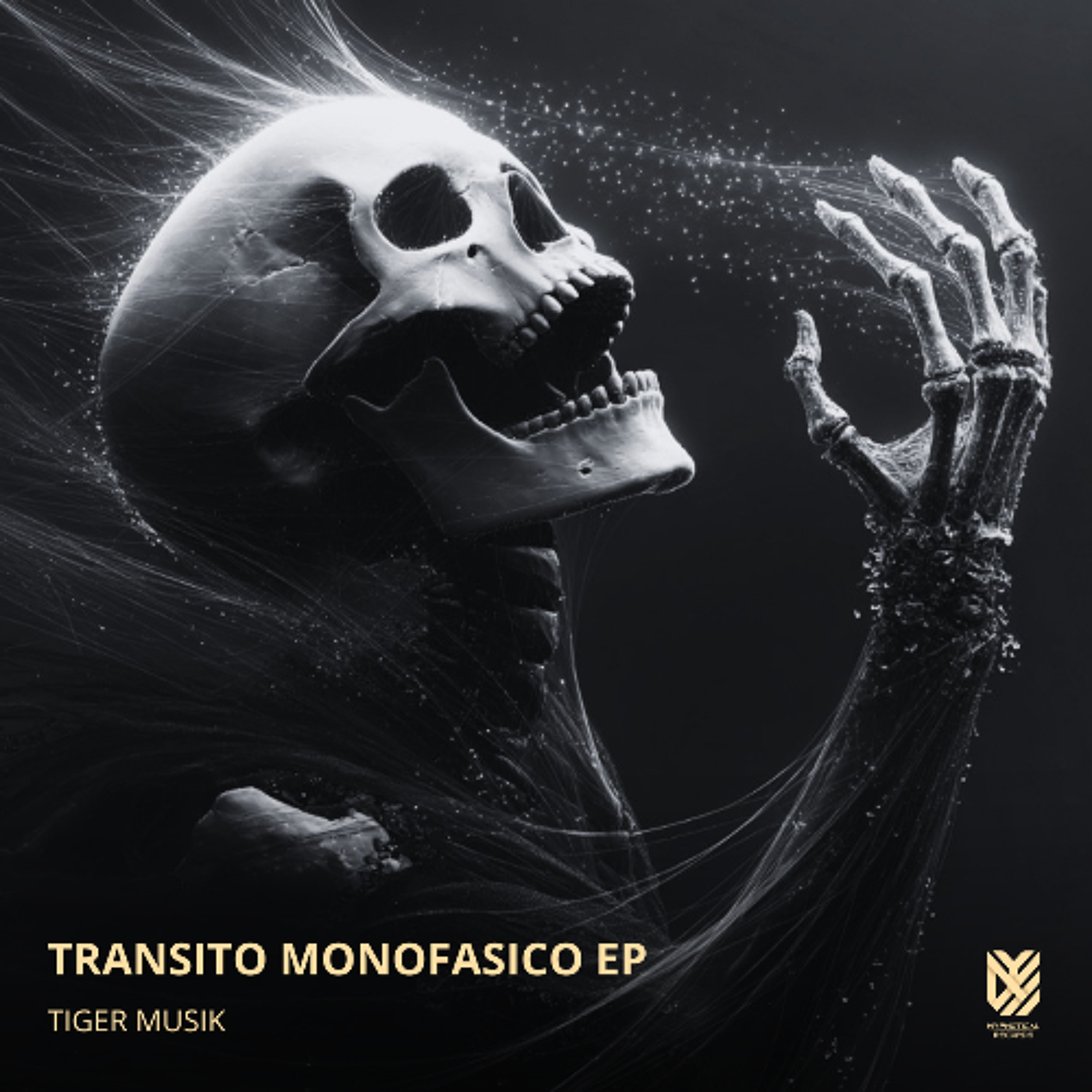Portada de Tiger Musik