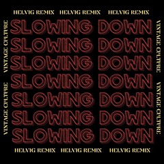 Vintage Culture - Slowing Down (Helvig Remix)