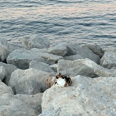 Friday is a Sunday #25 by Lien & Roelien - 03-11-23 at Echobox Radio