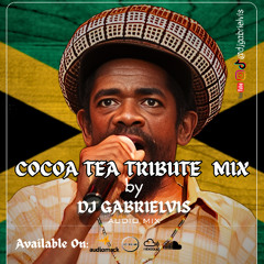 Cocoa Tea Tribute Mix - DJ Gabrielvis