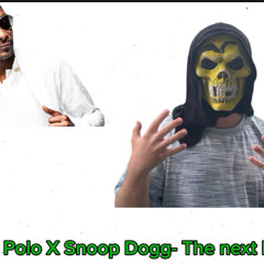 Wee Polo x Snoop Dogg - next level next episode Remix