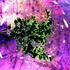 moody bass and amens