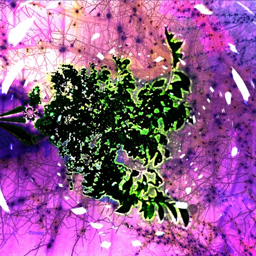 moody bass and amens