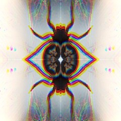 INTO THE VOID